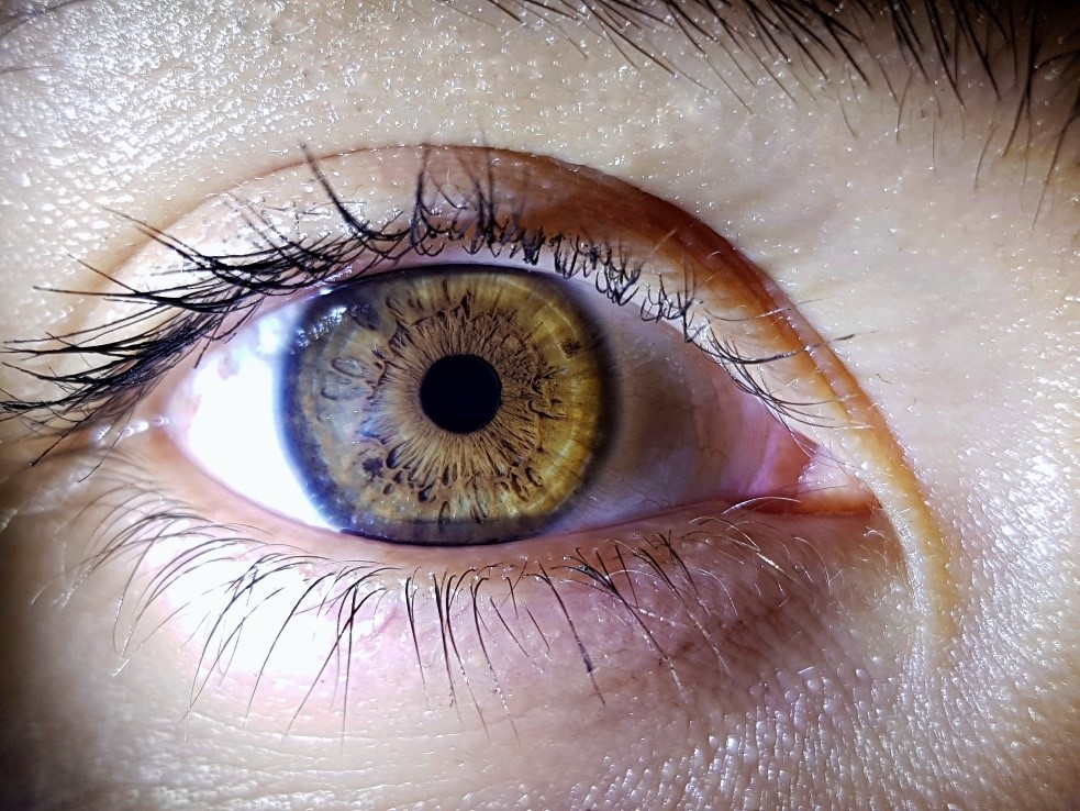 Better Eye Care Tips | Hudson Ophthalmology