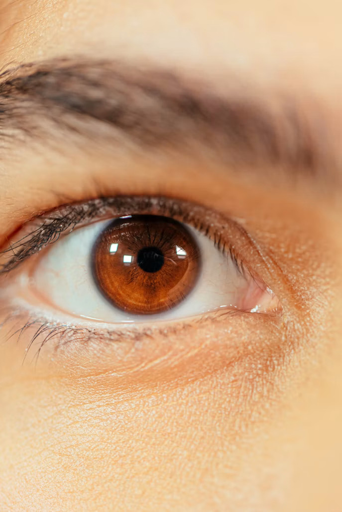 Glaucoma Specialist & Cataract Surgeon in Westchester NY